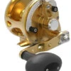 Avet JX G2 4.6 Single Speed Reel Gold
