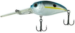 Molix Sculpo MR Rattlin Crankbait - 2-1/4in - Charming Shad