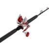 Accurate Valiant BV2-800 /TackleDirect Platinum Hook Standup Combo